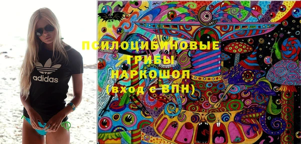 PSILOCYBIN Абинск