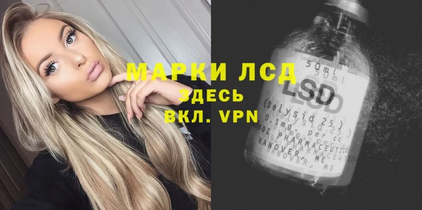 индика Алексеевка