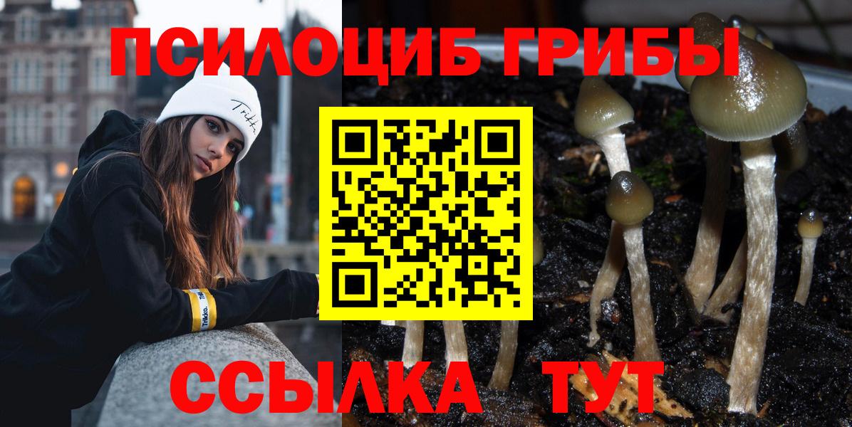 даркнет сайт  Галлюциногенные грибы MAGIC MUSHROOMS  Вход с VPN  Галлюциногенные грибы GOLDEN TEACHER  Смоленск 